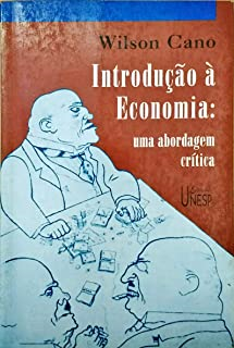 Introducao A Economia Uma Abordagem Critica