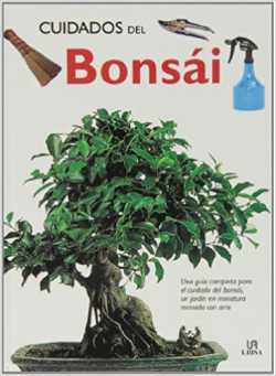 Cuidados Del Bonsai