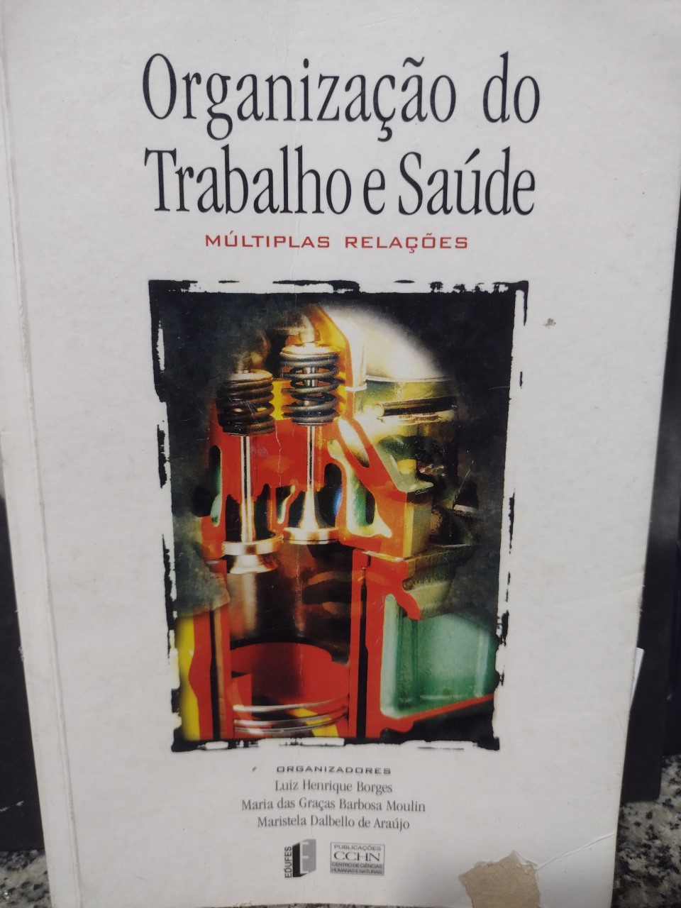 Organizacao Do Trabalho E Saude