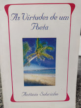 As Virtudes De Um Poeta
