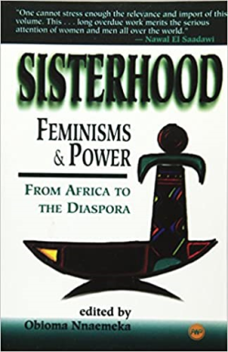 Sisterhood Feminisms And Power - From Africa To The Diaspora