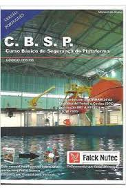 C B S P Curso Basico De Seguranca De Plataforma