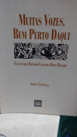 Muitas Vozes Bem Perto Daqui - Ensaios Sobre Bernard Carvalho E Diogo Mainardi