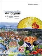 Iconografia Das Aguas: O Rio E Suas Imagens