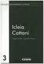 Icleia Cattani Nº 03 - Colecao Pensamento Critico