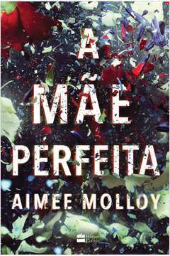 A Mae Perfeita