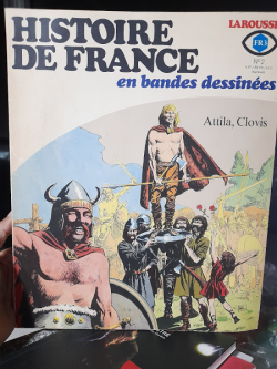 Historie De France En Bandes Dessinees V. 2