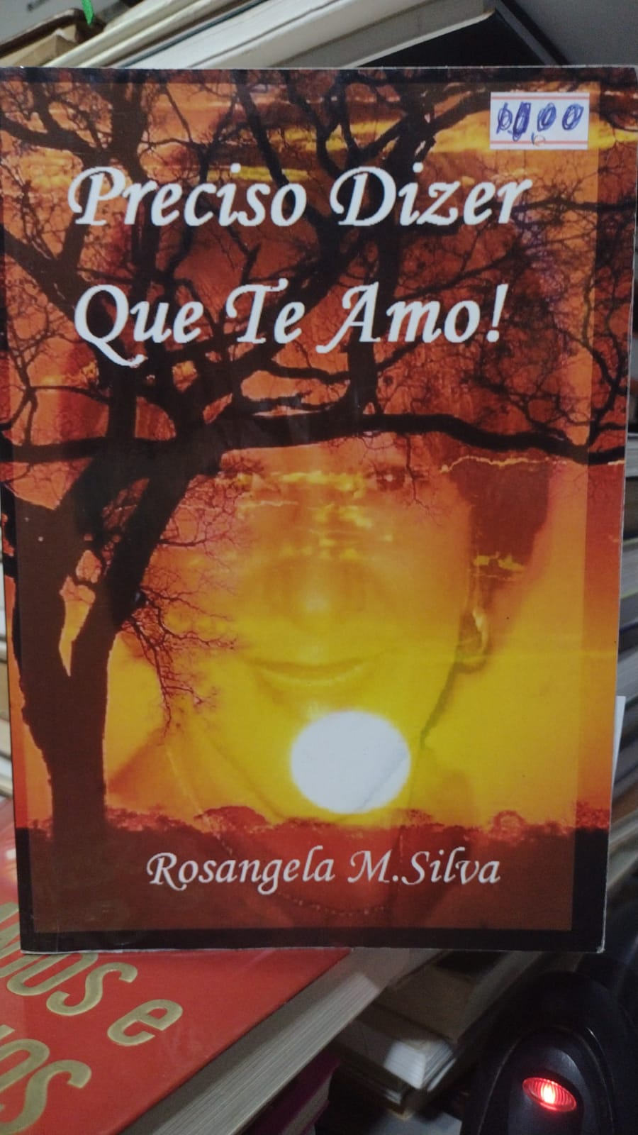preciso dizer que te amo