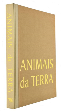 Animais Da Terra Dos Polos Ao Equador