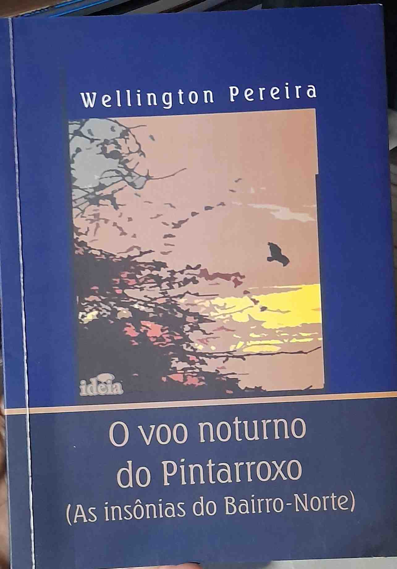 O Voo Noturno Do Pintarroxo - As Insonias Do Bairro-norte