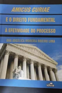 Amicus Curiae E O Direito Fundamental A Efetividade Do Processo