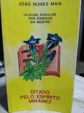 Alguns Angulos Dos Ensinos Do Mestre
