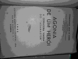 Agonia De Um Heroi - A Derradeira Viagem Do Adamastor