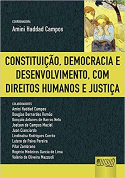 Constituicao Democracia E Desenvolvimento Com Direitos Humanos E Justica