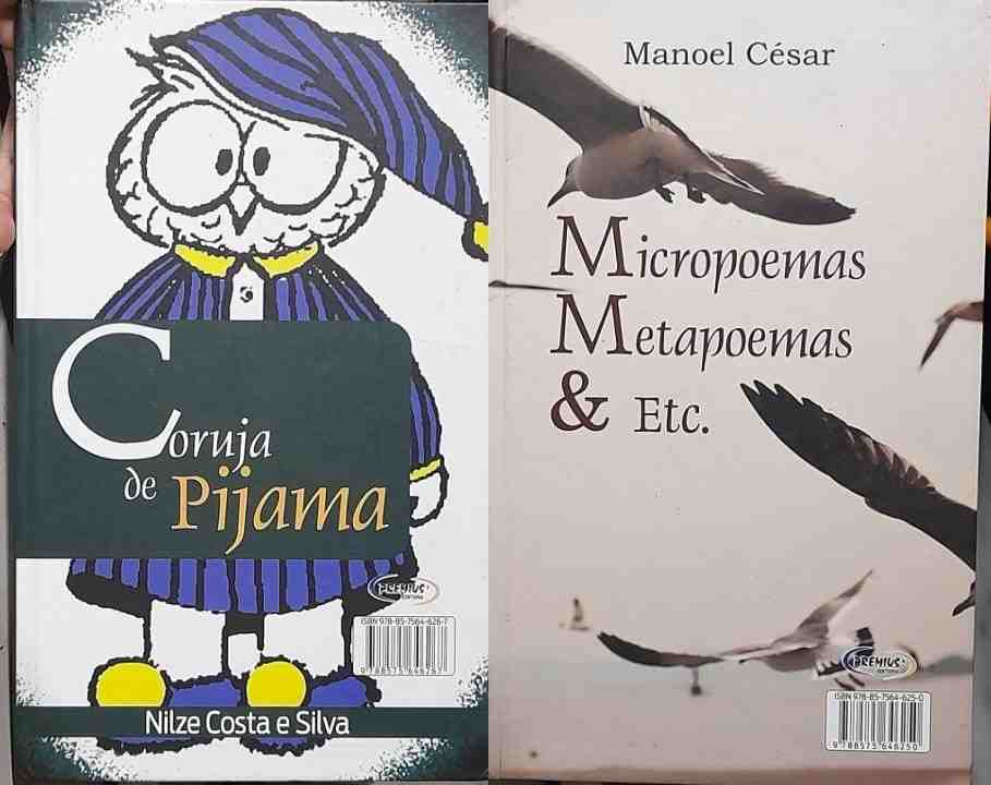 Coruja De Pijama / Micropoemas Metapoemas E Etc