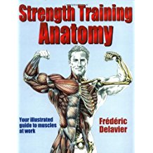 Strength Training Anatomy