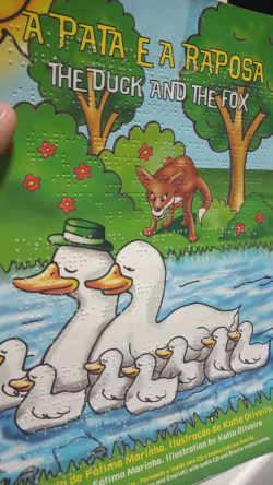 A Pata E A Raposa / The Duck And The Fox / Inclui Cd - Em Braille