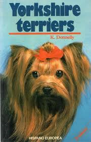 Yorkshire Terriers