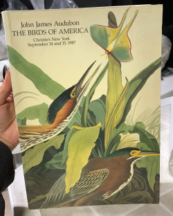 The Birds Of America