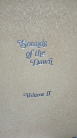 Sounds Of The Dawn V. Ii