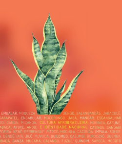 Cultura Afrobrasileira E Identidade Nacional