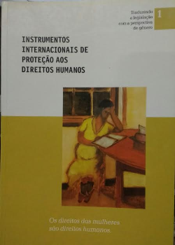 Instrumentos Internacionais De Protecao Aos Direitos Humanos