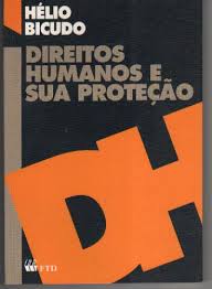 Direitos Humanos E Sua Protecao