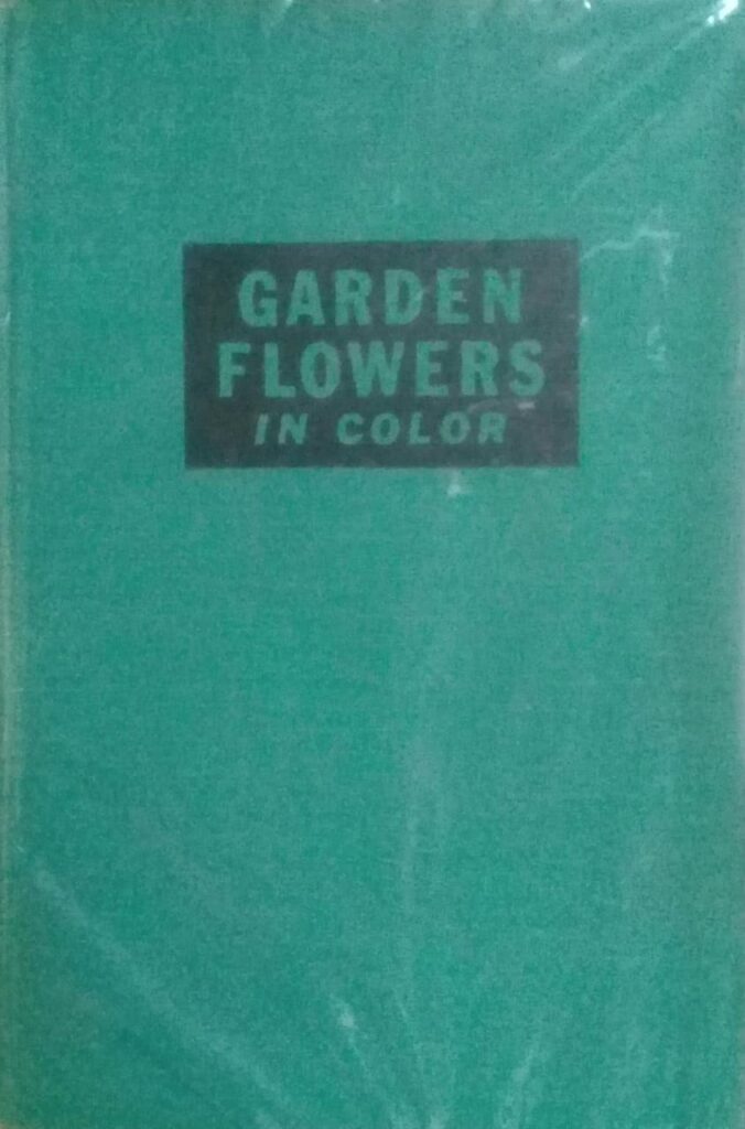 Gorden Flowers In Color