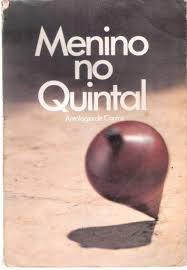 Menino No Quintal