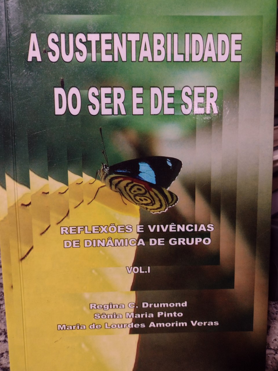 A Sustentabilidade Do Ser E De Ser V.01 - Reflexoes E Vivencias De Dinamica De Grupo