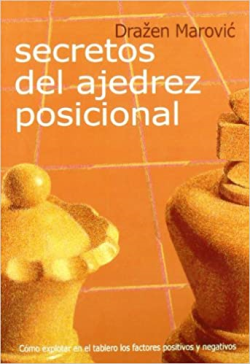 Secretos Del Ajedrez Posicional