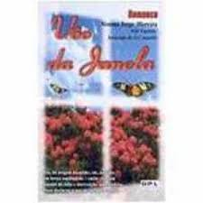 Voo Da Janela