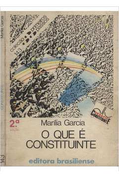 O Que E Constituinte