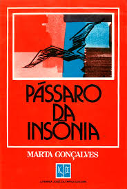 Governo Castelo Branco, O