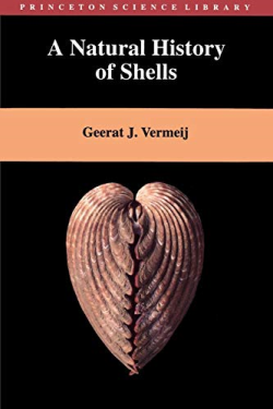 A Natural History Of Shells