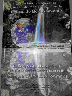 Gerenciamento Ambiental Como Instrumento Preventivo De Defesa Do Meio Ambiente