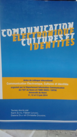 Communication Electronique, Cultures Et Identites
