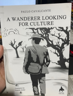 A Wanderer Looking For Culture
