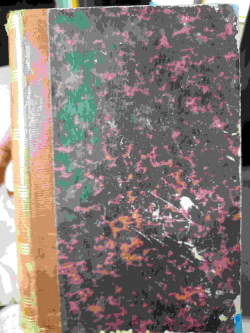 Le Journal D'une Femme