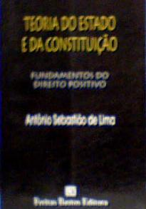 Teoria Do Estado E Da Constituicao - Fundamentos Do Direito Positivo
