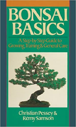 Bonsai Basics - A Step-by-step Guide To Growing Training & General Care
