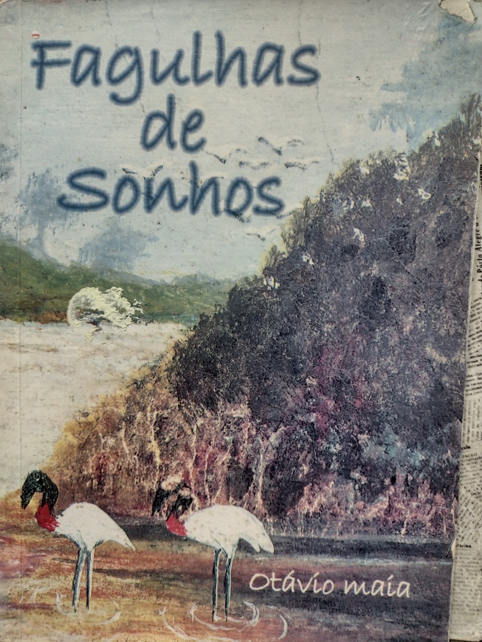 Fagulhas De Sonhos - Autografado