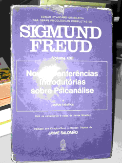 Novas Conferencias Introdutorias Sobre Psicanalise E Outros Trabalhos - V. Xxii