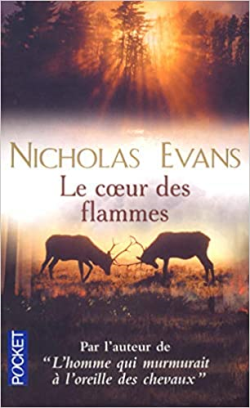 Coeur Des Flammes