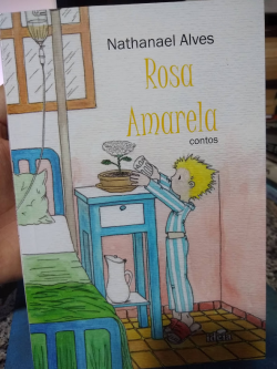 Rosa Amarela Contos
