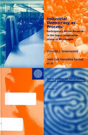 Industrial Democracy As Process