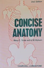 Concise Anatomy