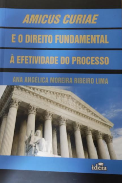 Amicus Curiae E O Direito Fundamental A Efetividade Do Processo