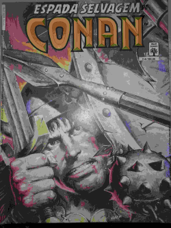 A Espada Selvagem Conan - O Barbaro N° 12