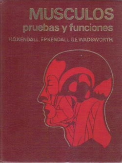 Musculos Pruebas Y Funciones